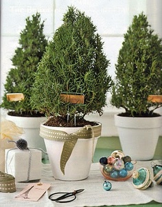 c3eac7d6700f522d725e03d8d3b49272